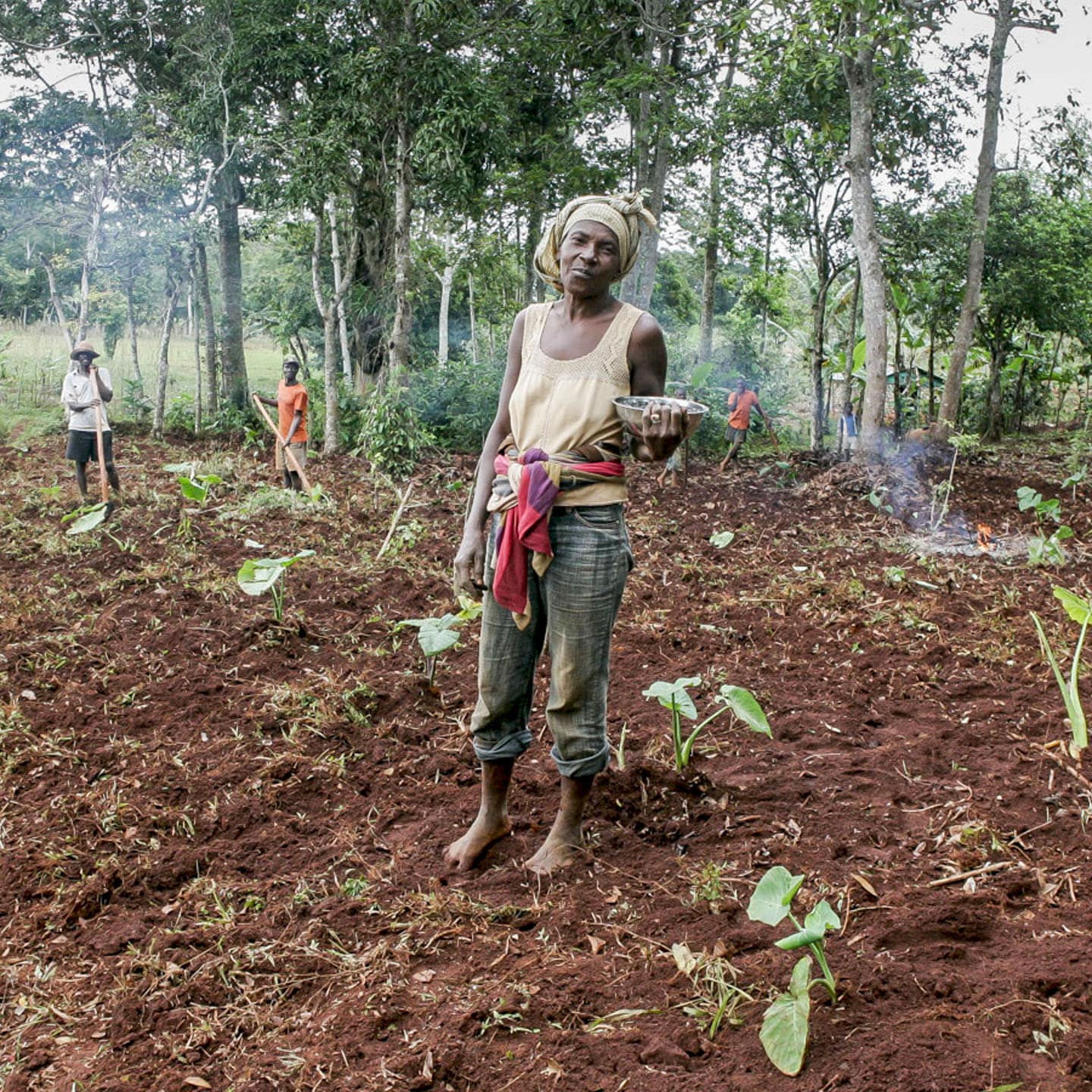 tools and seeds deliver more food and security