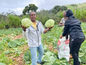 Tony with huge cabbage.